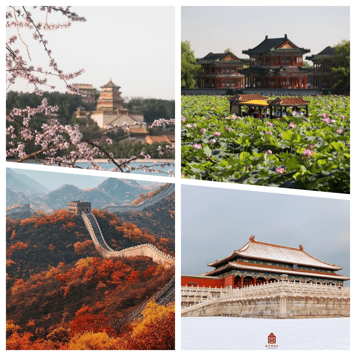 beijing travel.png