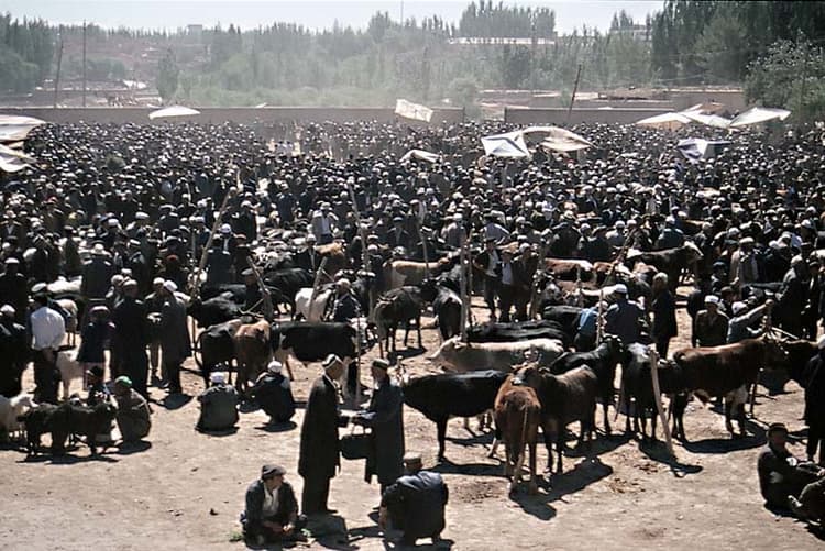 sundaybazaar.jpg