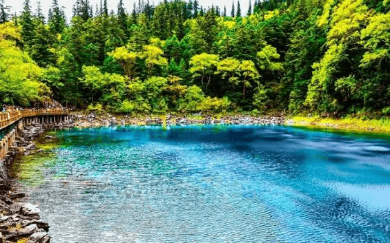 fivecolor pond.png