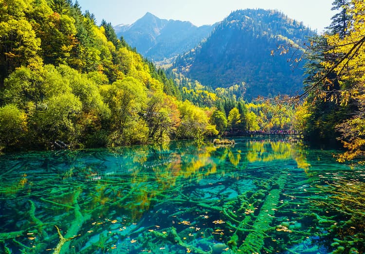 five flower lake.jpg