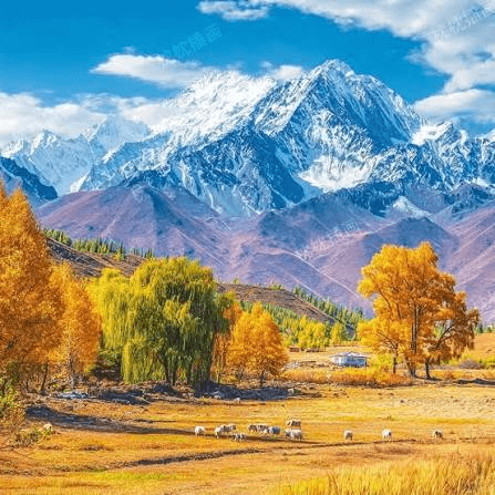 autunmn.png