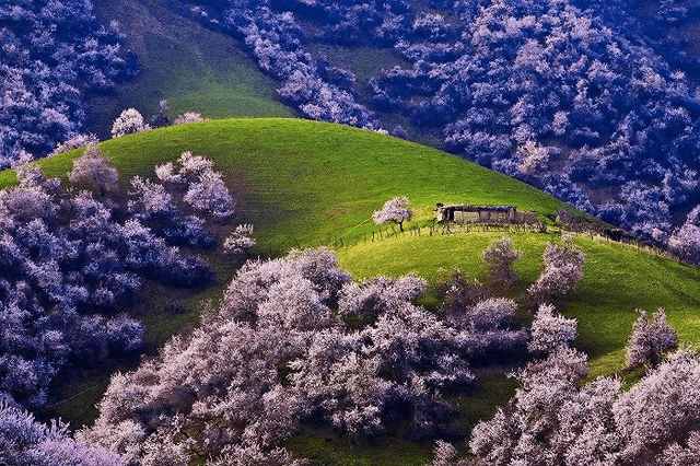 spring.png spring.png