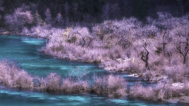 spring.png