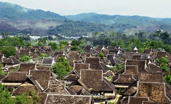 tropical yunnan.png