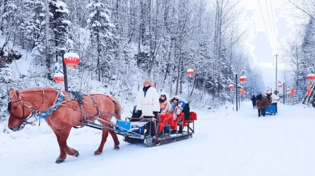 Snowmobiling & Sleighs.png