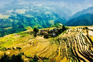 JIabang Terraced Fields