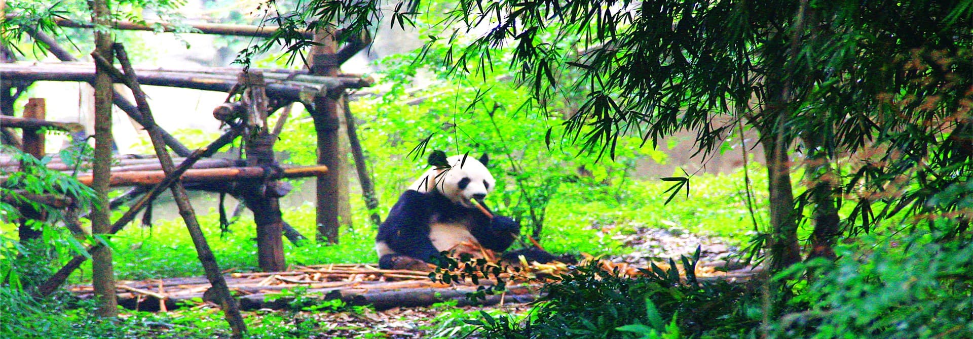 private-chengdu-city-tour