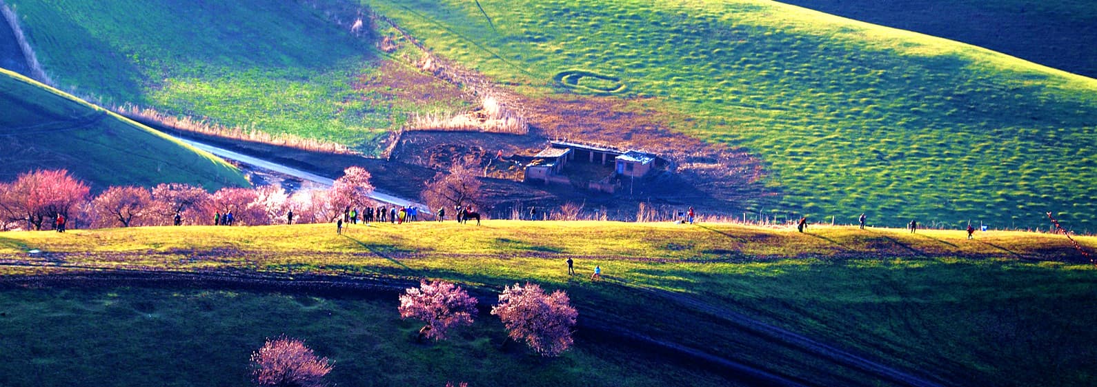 11-days-xinjiang-apricot-blossom-tour