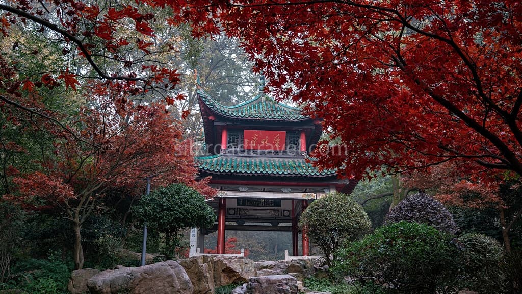 yuelu-mountain