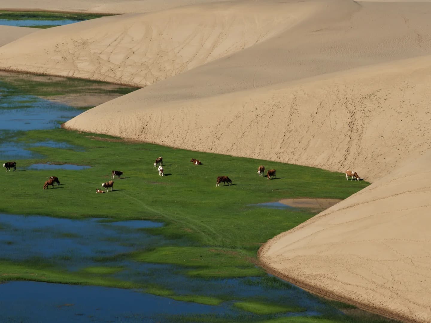 inner-mongolia