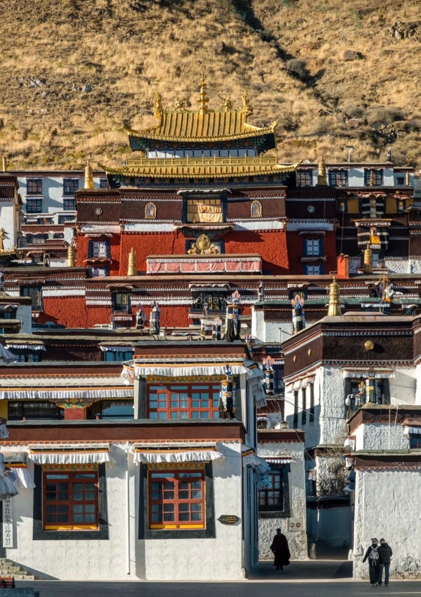 maitreya-buddha