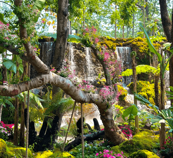 tropical-flower-garden-5