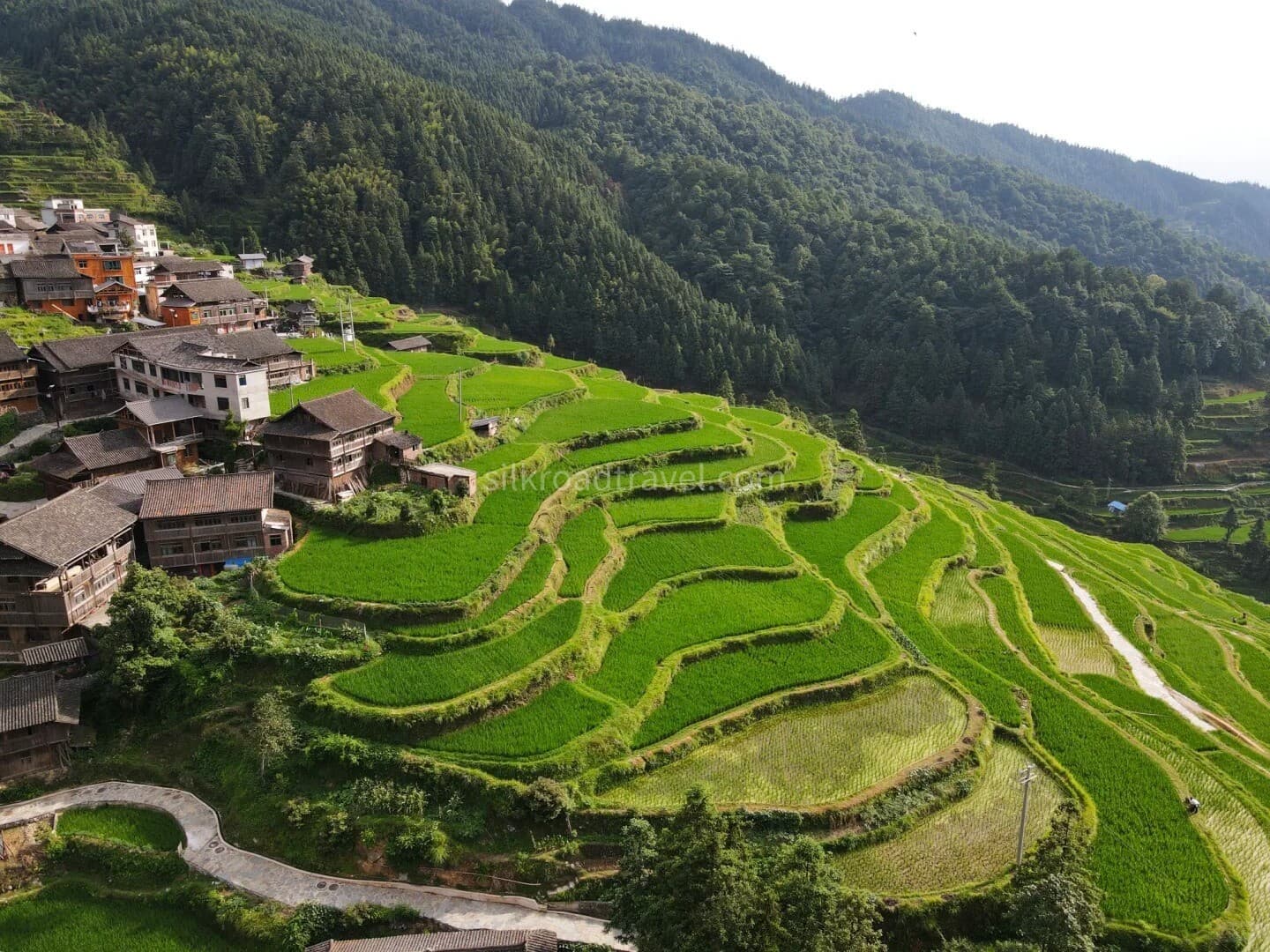 rice-terraces