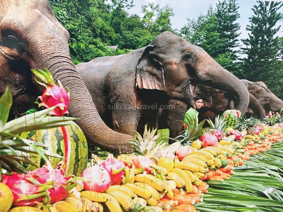 Wild Elephant Valley.jpg