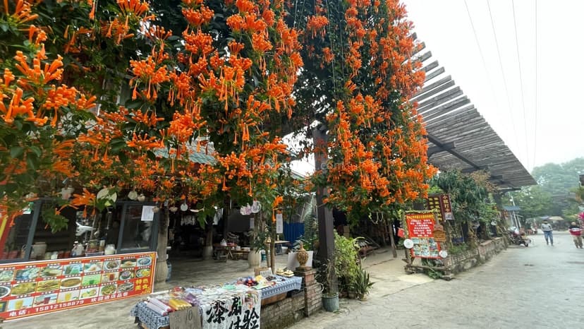 Manzhang Village.jpg