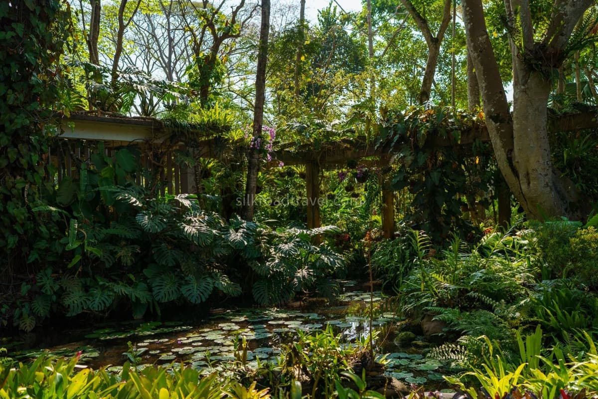 Rainforest & Nature Experiences.jpg