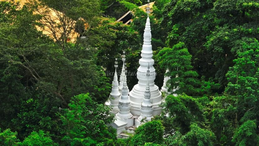 Xishuangbanna Primitive Forest Park.jpg
