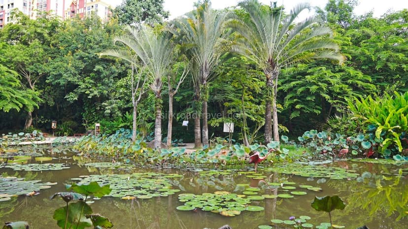 Manting Park.jpg