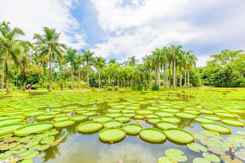 Xishuangbanna Tropical Botanical Garden.jpg