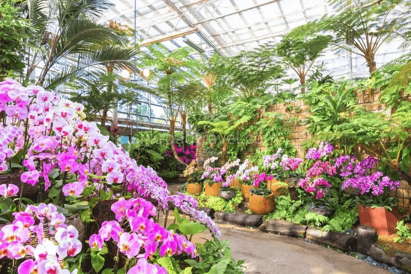 Tropical Botanical Garden.png