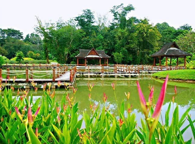 Tropical Botanical Garden.jpg