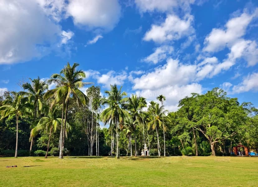 Tropical Botanical Garden.jpg