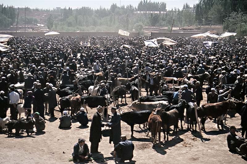 sundaybazaar.jpg