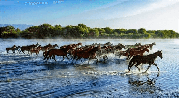 zhaosu horse.png