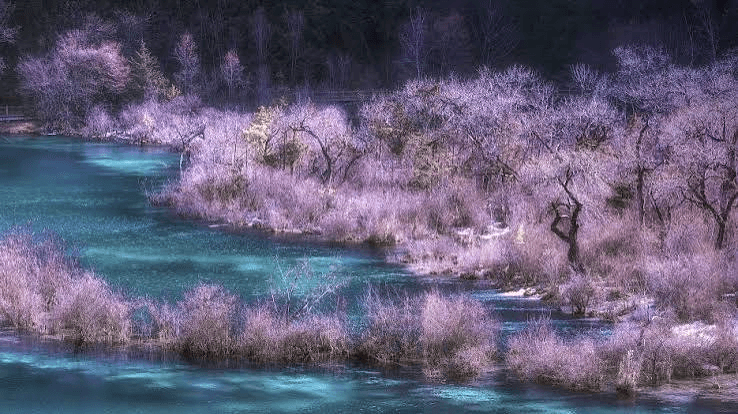 spring.png