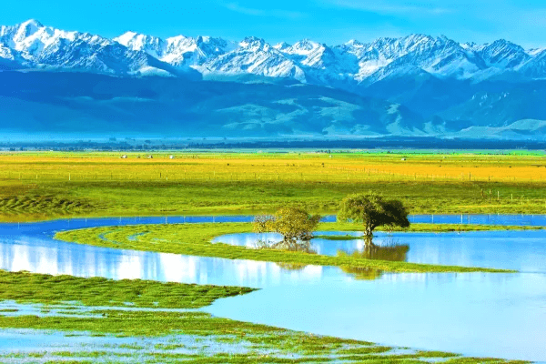 zhoasu wetland park.png