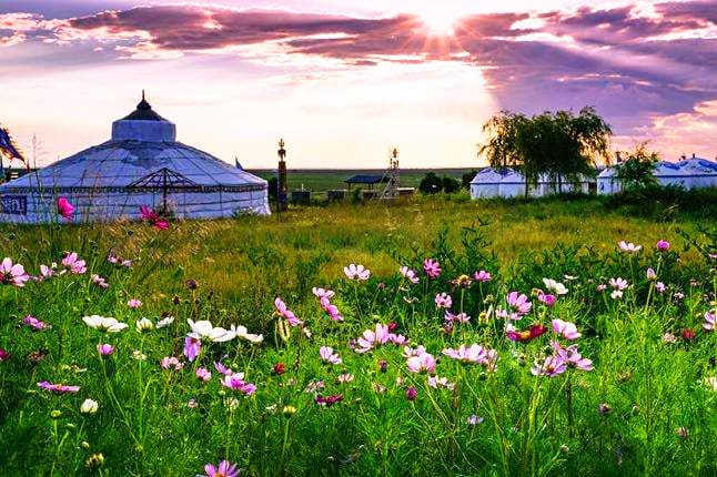 Ordos Grassland-01.jpg