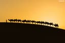 silk-road-tour-4.jpeg