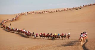 camel riding-1.jpg