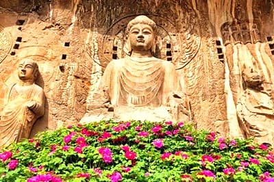 luoyang peonies_.jpg