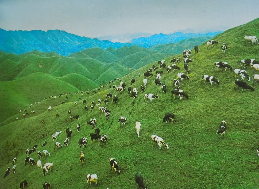 nanshan-5.jpg