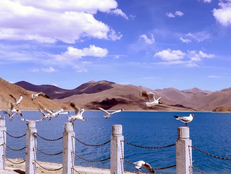 Yamdrok Lake