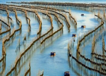 Shajiang S Bay