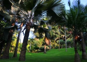 Xiamen Botanical Garden Xiamen Botanical Garden
