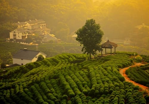 Meijiawu Village.jpg Meijiawu Village.jpg