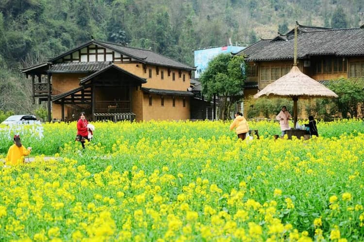 Zhangjiajie Zhangjiajie