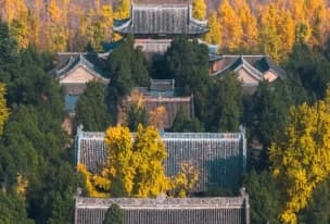 White horse temple Autumn.png White horse temple Autumn.png