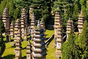 Pagoda Forest-3.png