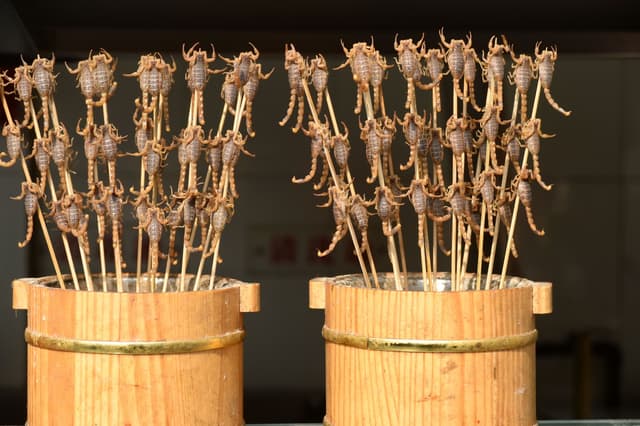 Scorpion Skewer.jpg Scorpion Skewer.jpg