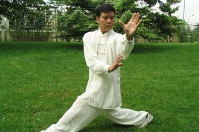 Chinese Kungfu 4.jpg