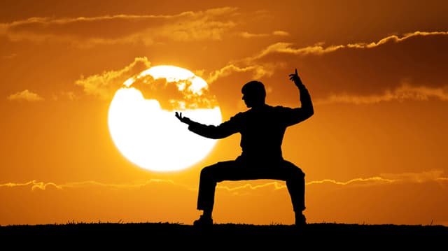 Chinese Kungfu 3.jpg