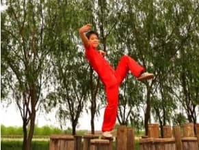 Chinese Kungfu 6.jpg