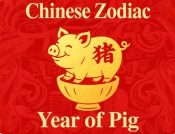 Pig.jpg Pig.jpg