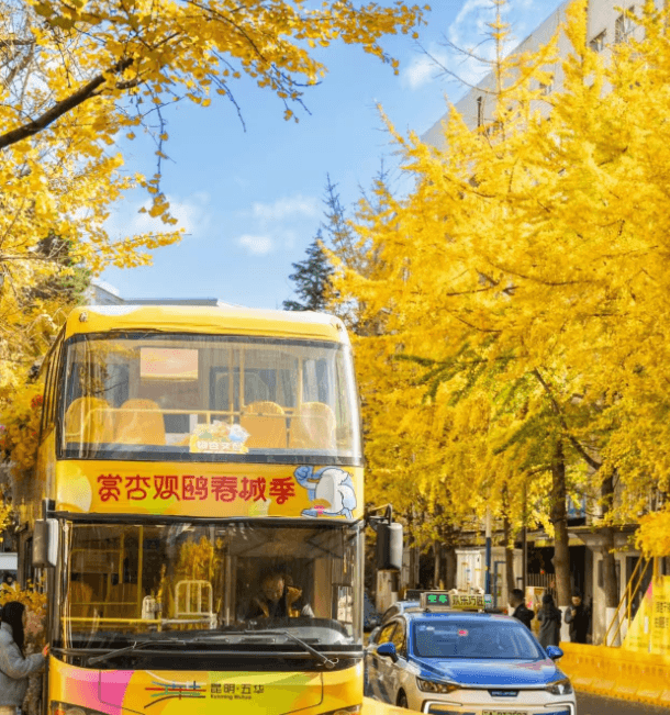 kunming city walk 1.png