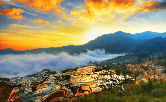 Yunnan website.png