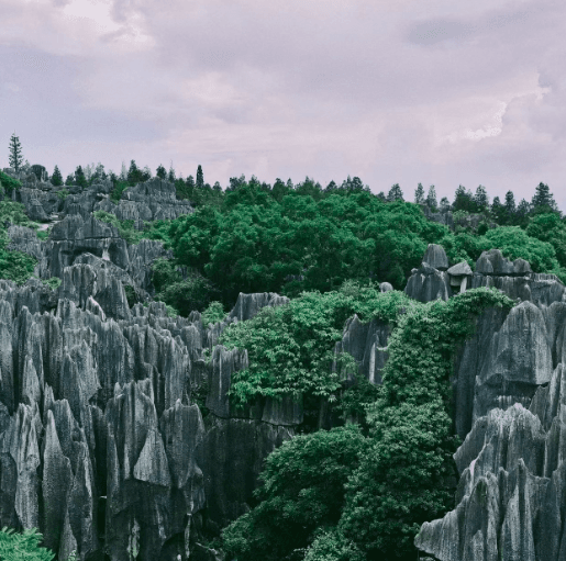 Yunnan Stone Forest2.png